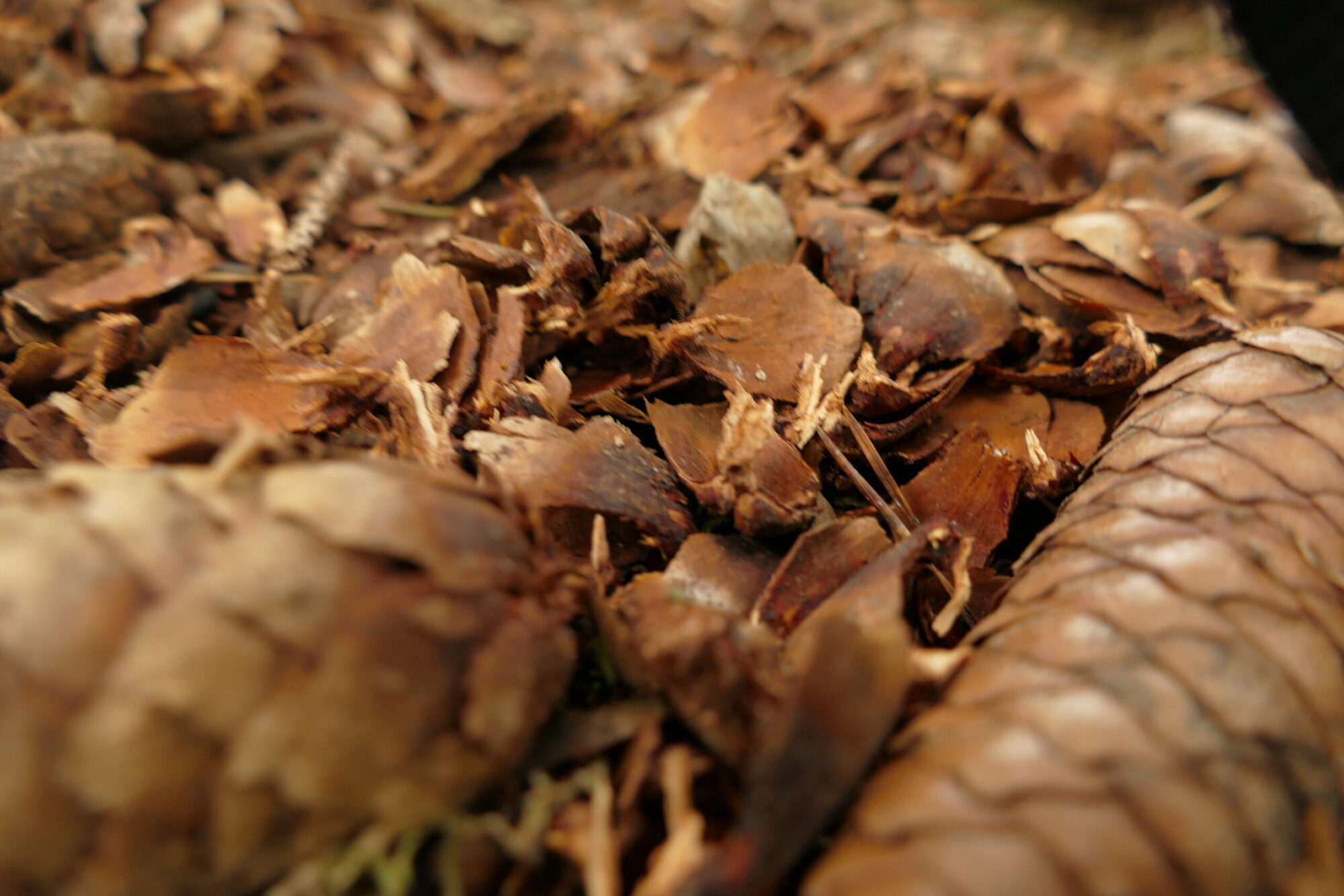 Le respect des cycles