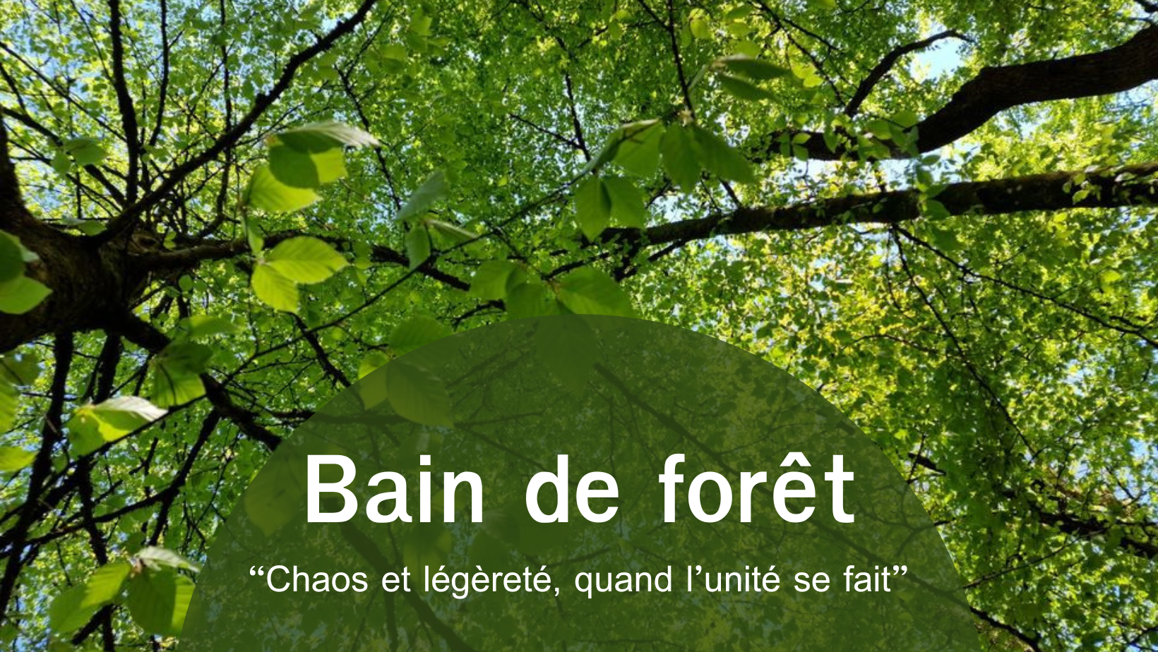 Annonce du bain de forêt Chaos et légèreté