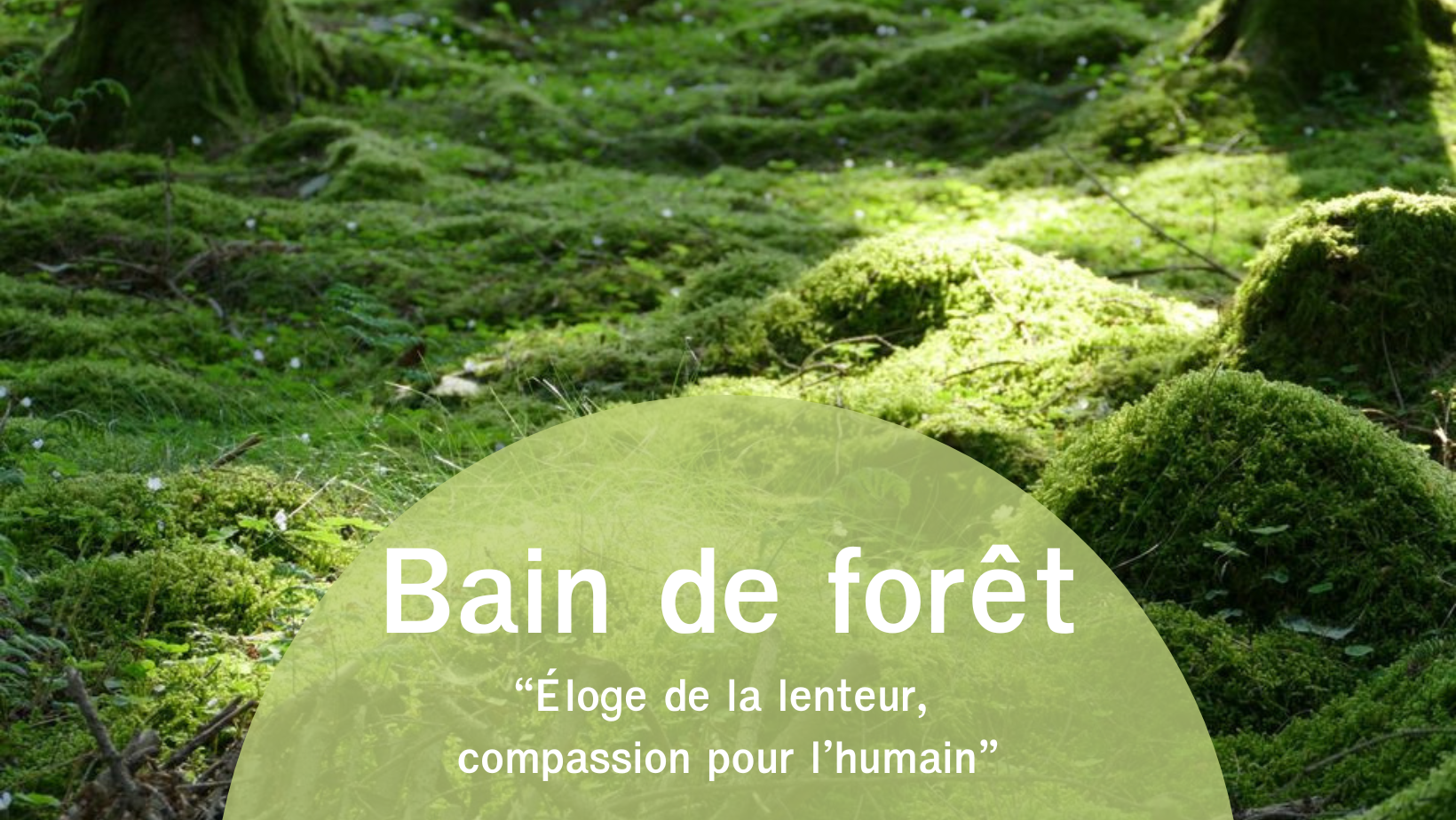 Annonce du bain de forêt Eloge de la lenteur
