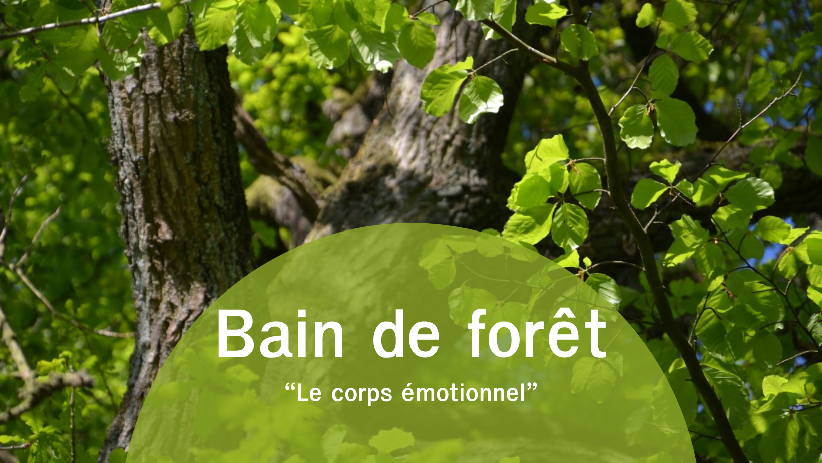 Annonce du bain de forêt Le corps émotionnel