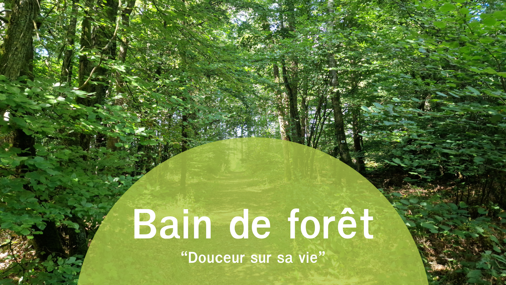 Annonce du bain de forêt Douceur sur sa vie