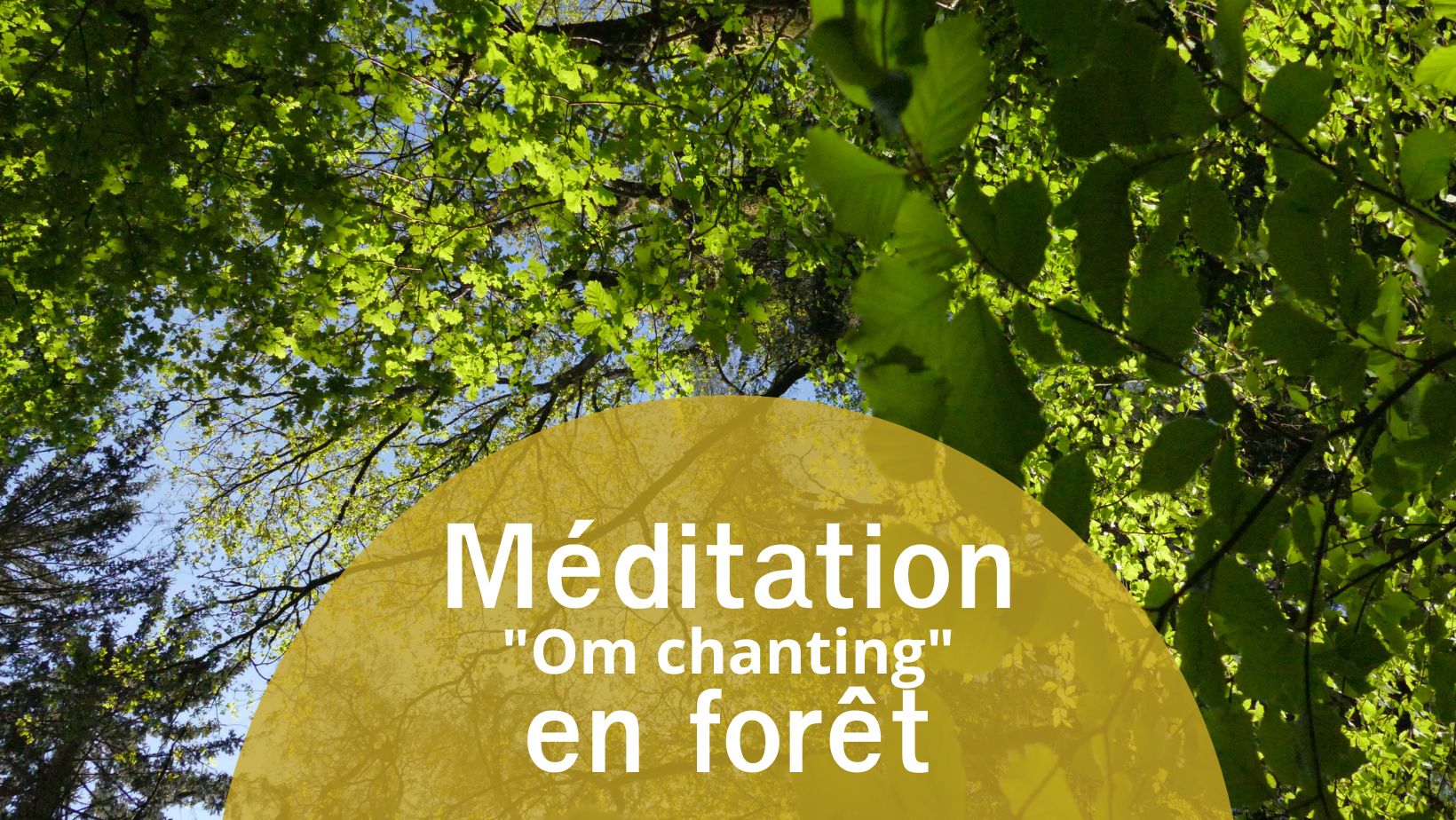Annonce de la méditation Om chanting en forêt
