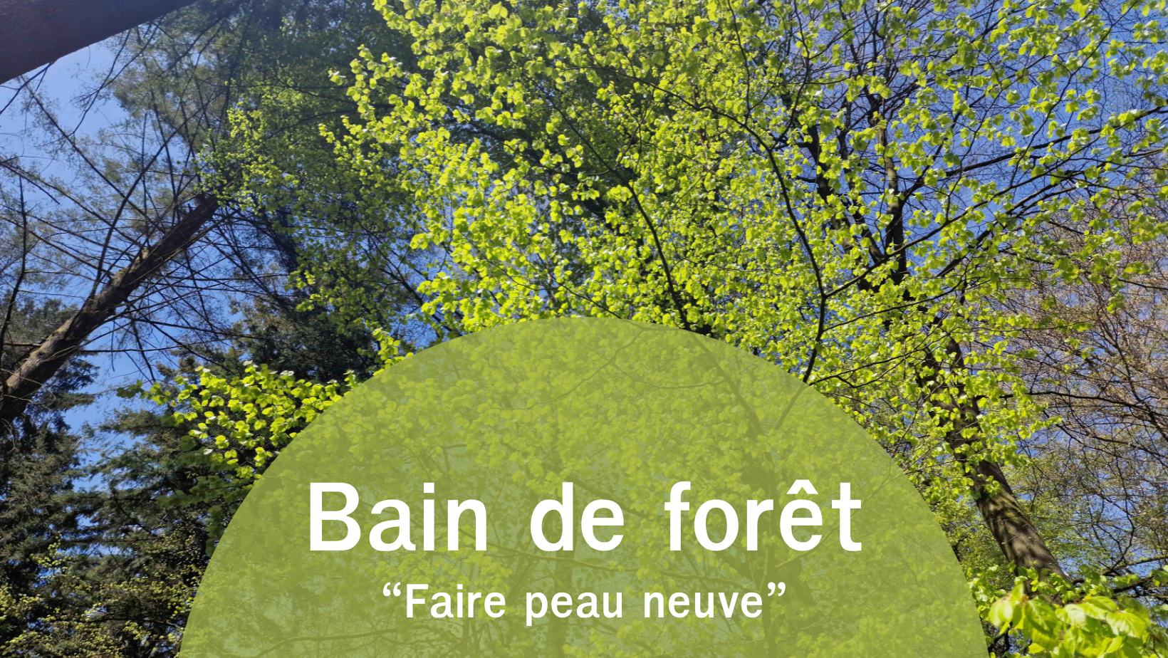 Annonce du bain de forêt Faire peau neuve