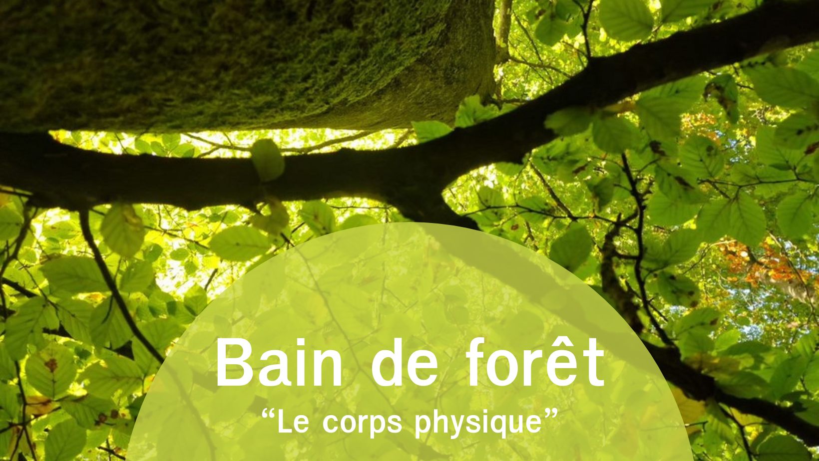 Annonce du bain de forêt le corps physique