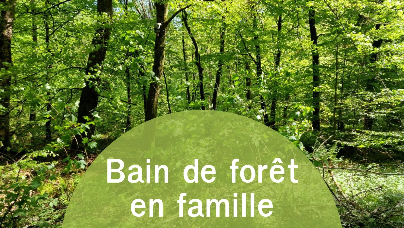 Annonce du bain de forêt en famille