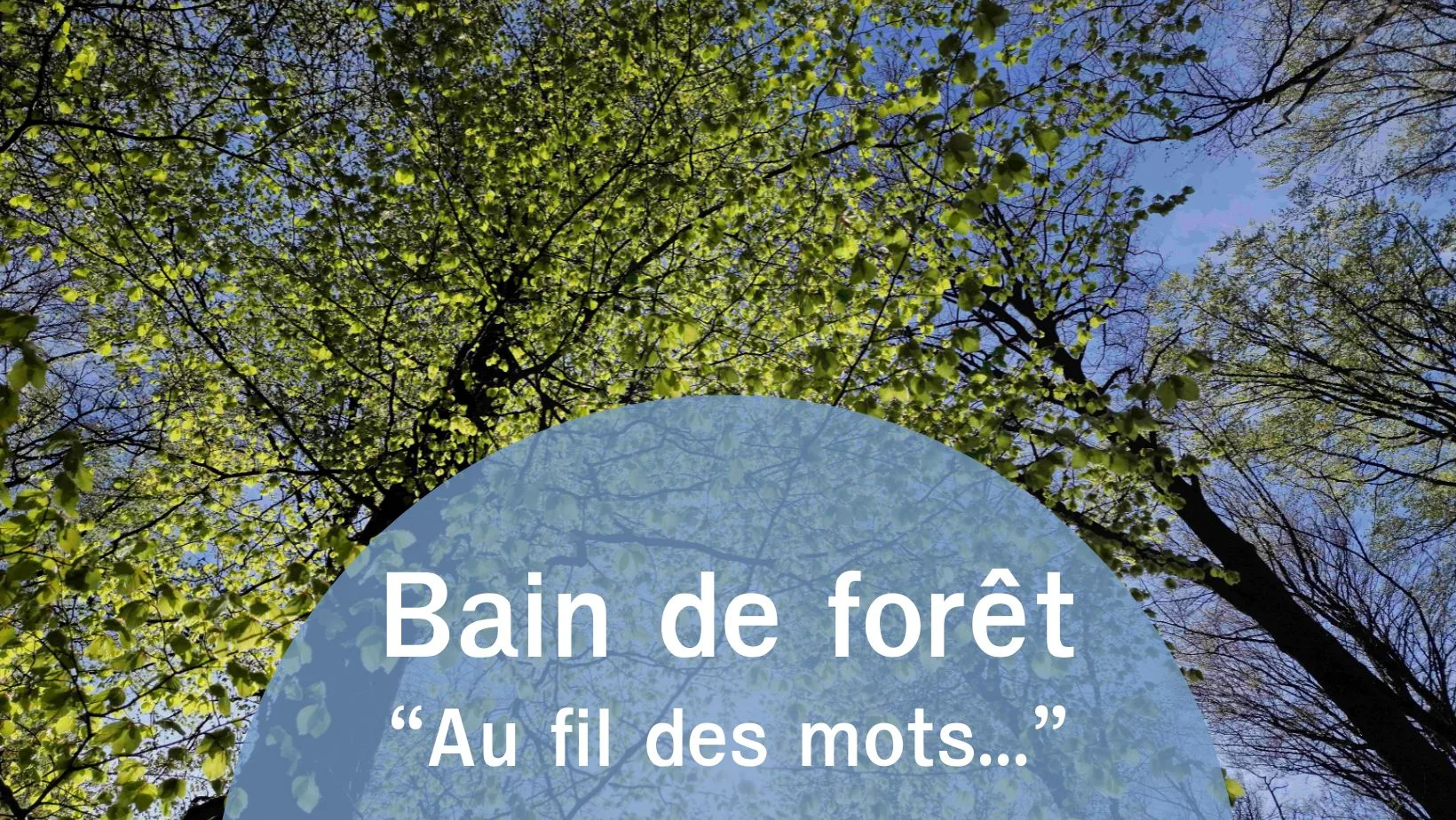 Annonce du bain de forêt "Au fil des mots..."